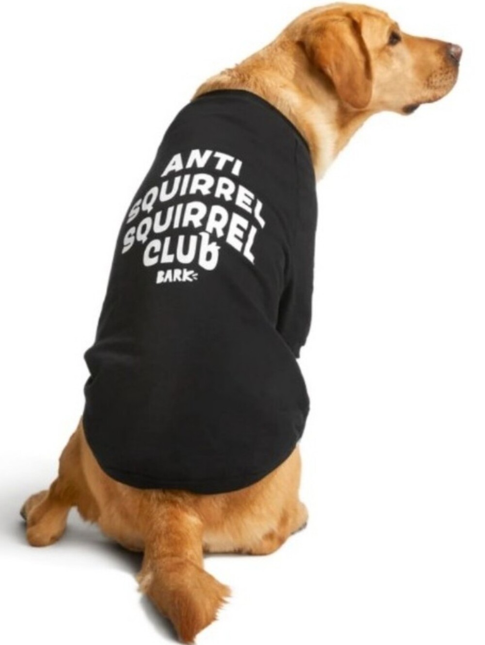Bark Black Anti Squirrel Club Graphic Dog Tee
